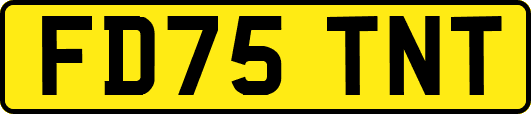 FD75TNT