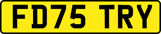 FD75TRY