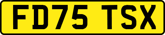 FD75TSX