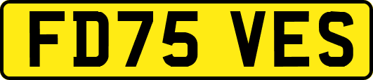 FD75VES