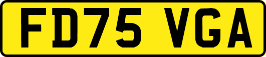 FD75VGA