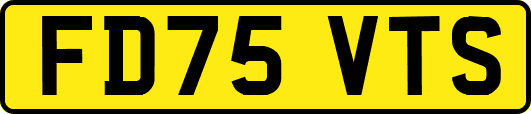 FD75VTS