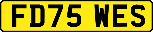 FD75WES
