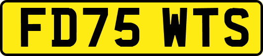 FD75WTS