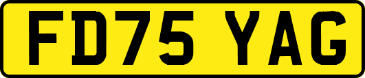 FD75YAG