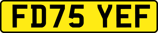 FD75YEF