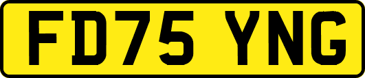 FD75YNG
