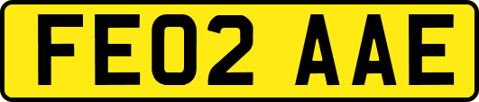 FE02AAE