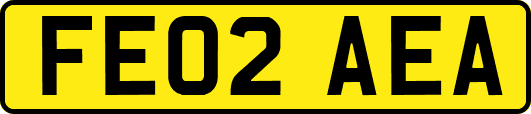 FE02AEA