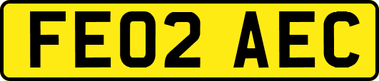 FE02AEC