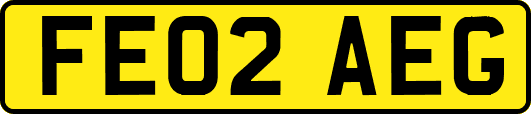 FE02AEG