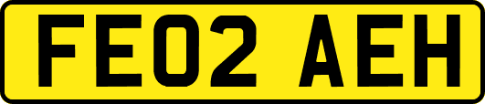FE02AEH