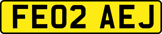 FE02AEJ