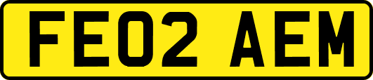 FE02AEM
