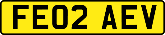 FE02AEV
