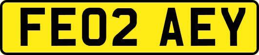 FE02AEY