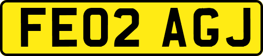 FE02AGJ
