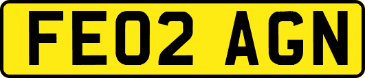 FE02AGN
