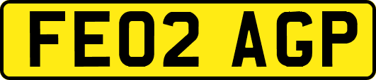 FE02AGP