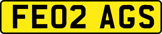 FE02AGS