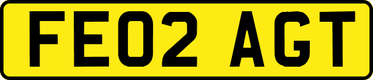 FE02AGT