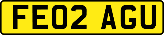 FE02AGU
