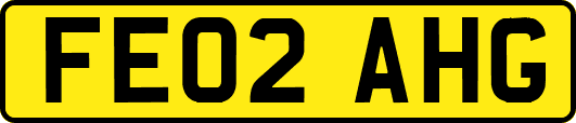 FE02AHG