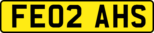 FE02AHS
