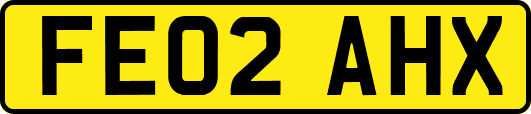FE02AHX