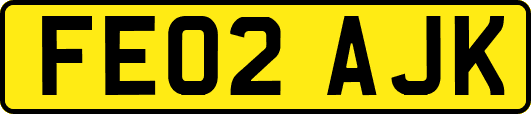 FE02AJK