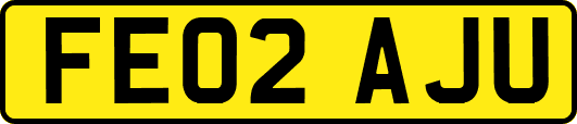 FE02AJU