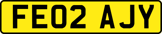 FE02AJY