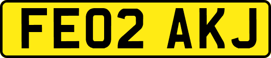 FE02AKJ