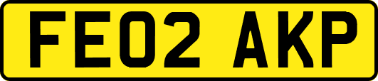 FE02AKP