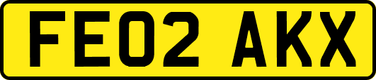 FE02AKX