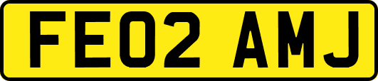 FE02AMJ