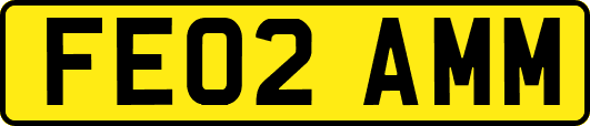 FE02AMM