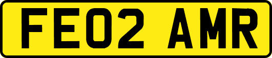 FE02AMR