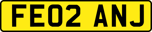 FE02ANJ