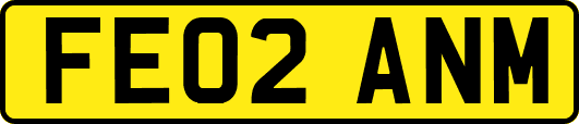 FE02ANM