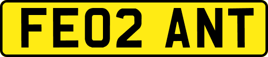 FE02ANT
