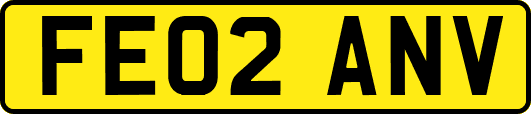 FE02ANV