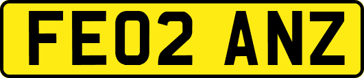 FE02ANZ
