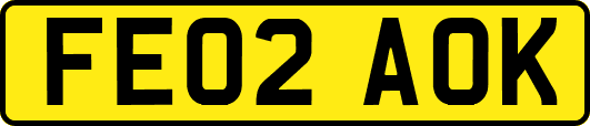 FE02AOK