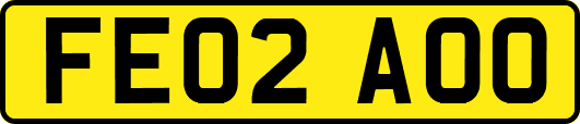FE02AOO