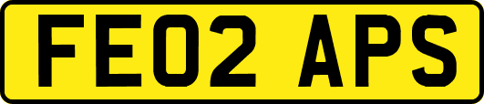 FE02APS