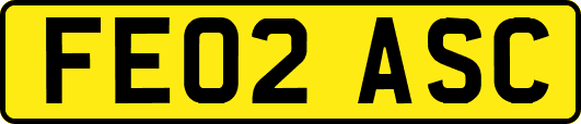 FE02ASC