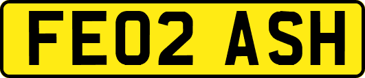 FE02ASH