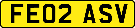 FE02ASV