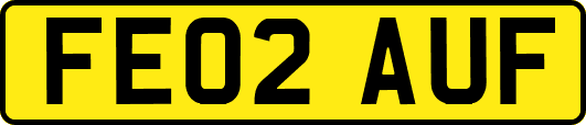 FE02AUF